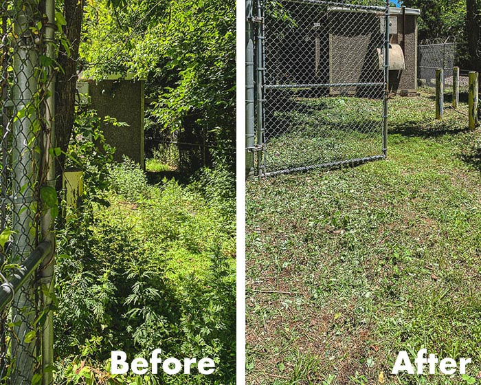 Picture of before and after of vegetation control